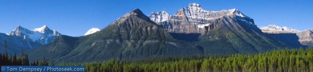 Image of the the landscape of mountains and forests in Banff.